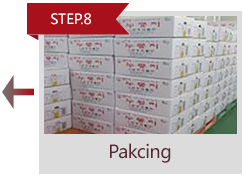 STEP8 Pakcing